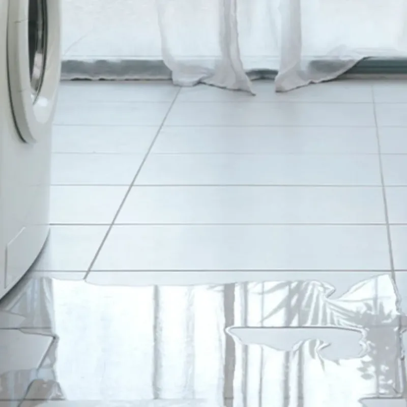 Appliance Leak Cleanup in Warren, IN