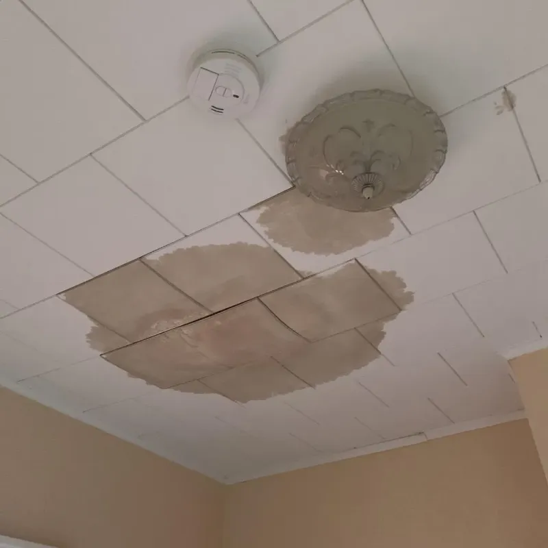 Ceiling Water Damage Repair in Warren, IN