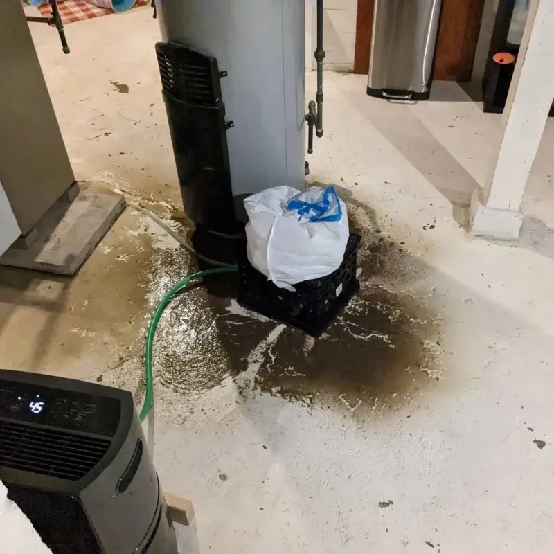 Sewage Backup Cleanup Service in Warren, IN